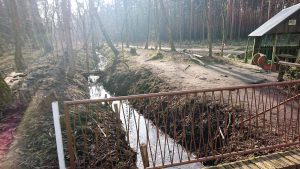 Kleine Plane, Brück