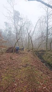 Kleine Plane, Brück