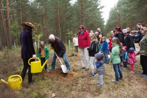 Baumkönigin, Esskastanie, Baum des Jahres 2018, Tempelwald