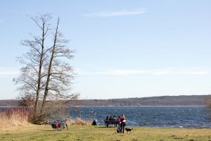 Havel am Petzower Park