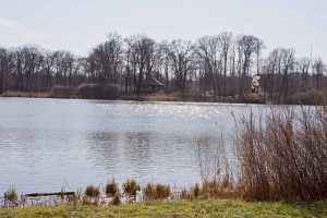 Haussee im Park Petzow