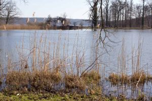 Haussee im Park Petzow