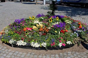 Beelitz, Beelitzer Spargelfest 2018, Spargel