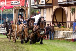 Titanen der Rennbahn 2018
