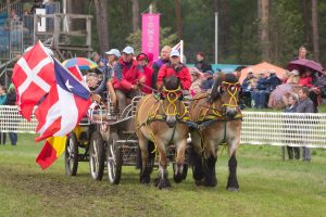 Titanen der Rennbahn 2018