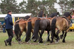 Titanen der Rennbahn 2018