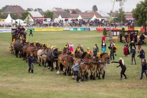 Titanen der Rennbahn 2018