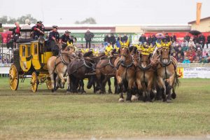 Titanen der Rennbahn 2018