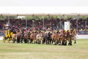 Titanen der Rennbahn 2018