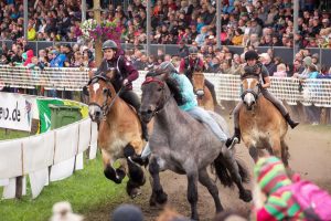 Titanen der Rennbahn 2018