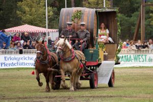 Titanen der Rennbahn 2018