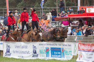 Titanen der Rennbahn 2018