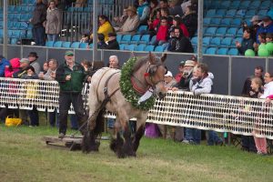 Titanen der Rennbahn 2018