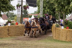 Titanen der Rennbahn 2018