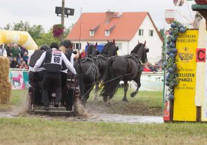 Titanen der Rennbahn 2018