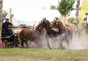 Titanen der Rennbahn 2018