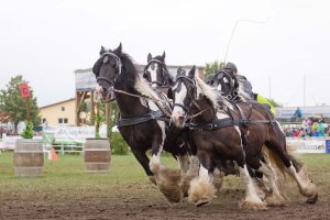 Titanen der Rennbahn 2018