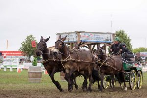 Titanen der Rennbahn 2018