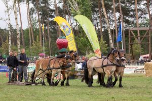 Titanen der Rennbahn 2018