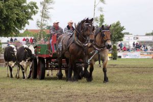 Titanen der Rennbahn 2018