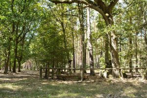 CPM, Ortschronisten, Truppenübungsplatz Lehnin, Kaisergrund