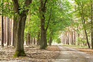 CPM, Ortschronisten, Truppenübungsplatz Lehnin, Kaisergrund