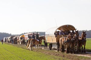 Brück, Schleppjagd, Kremser