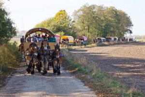 Brück, Schleppjagd, Kremser