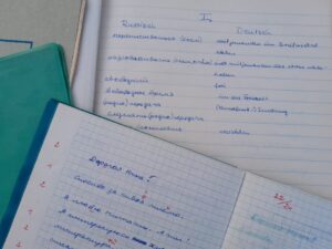 Russisch für (Wieder-) Einsteiger - „Давайте поговорим по-русски!“ @ Begegnungszentrum TREFFPUNKT Werder | Werder (Havel) | Brandenburg | Deutschland