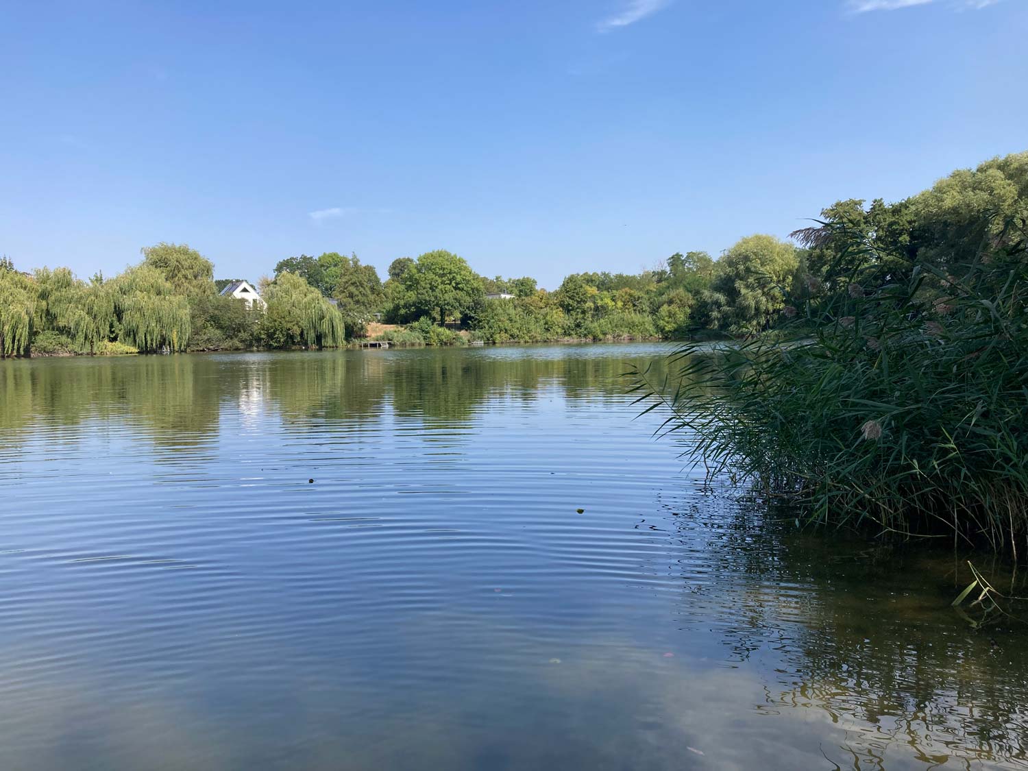 Angelverein Cammer, Paarangeln