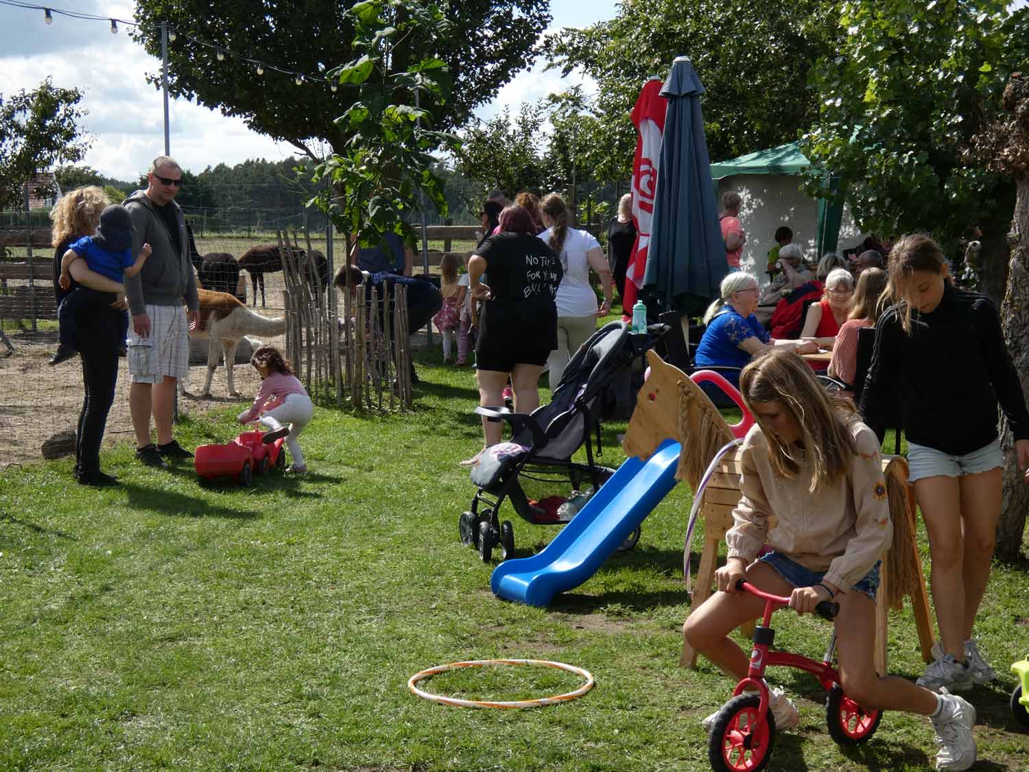 RainbowAlpaka, Rietz, Alpaka