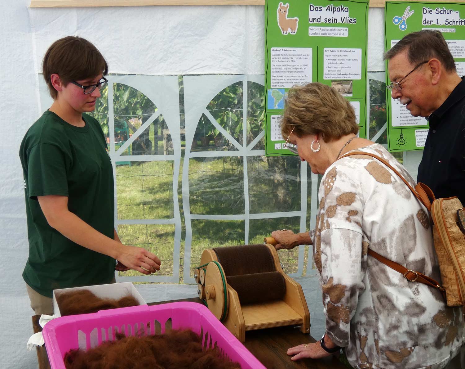 RainbowAlpaka, Rietz, Alpaka