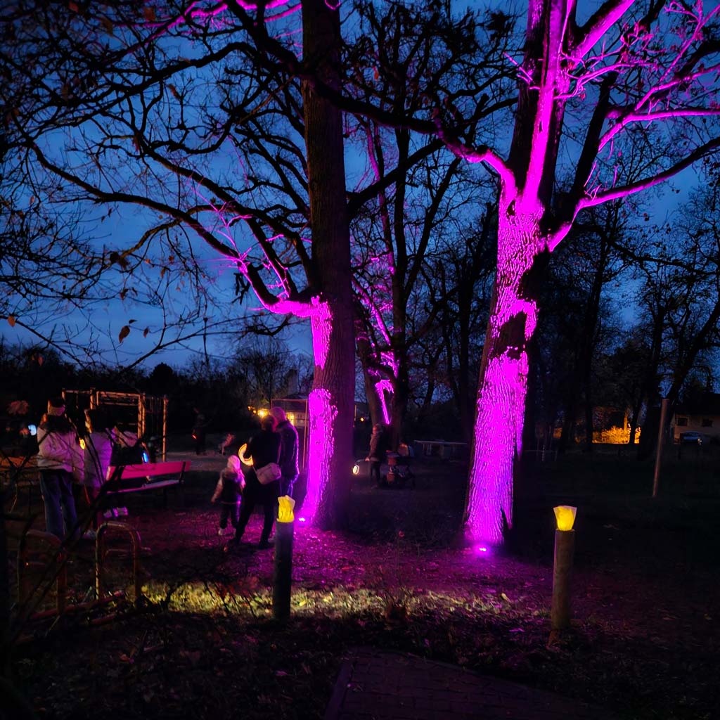 Cammer, Gutspark Cammer, Kita Storchennest, Martinsumzug