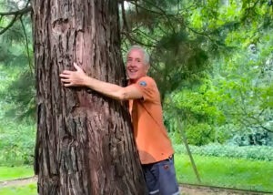 Mammutbaum, Eckhart Lehmann