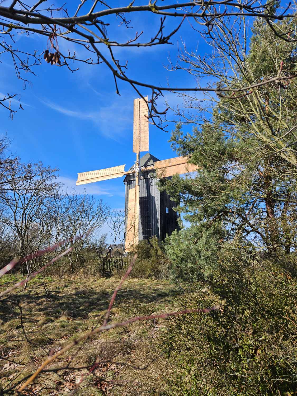 Bockwindmühle Cammer