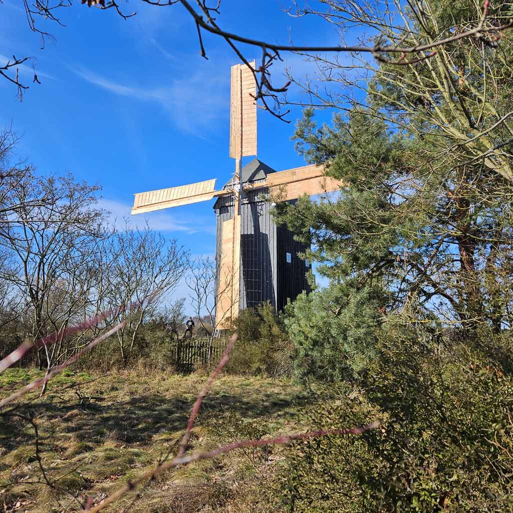 Bockwindmühle Cammer, Cammer