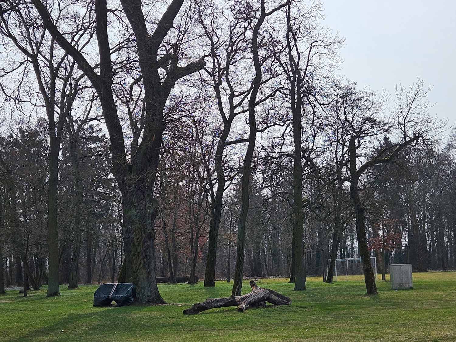 Cammer, Gutspark Cammer