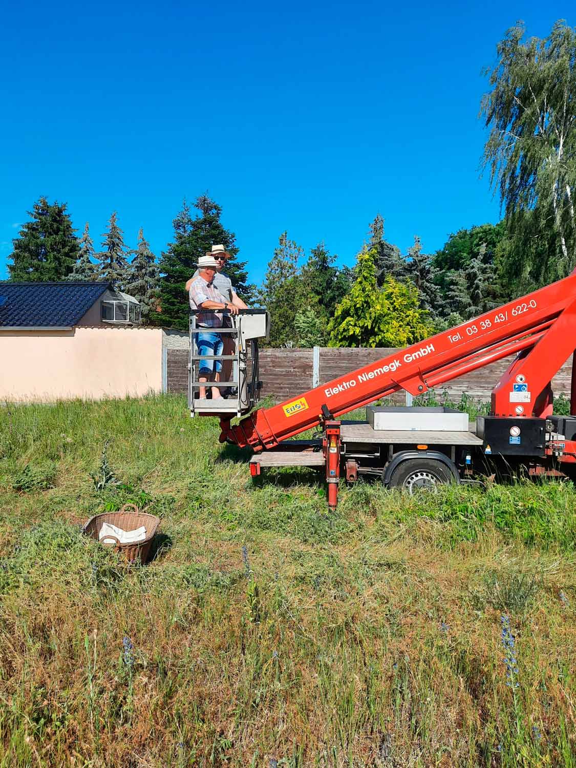 Trebitz, Störche, Storchrettung